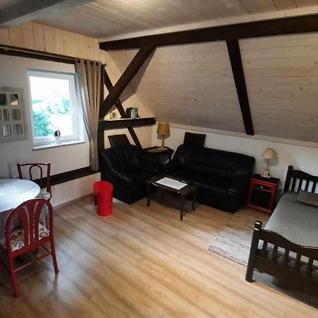 Apartament Jelen W Smokingu Sulow  Bagian luar foto